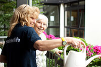 DRK Emsland Pflegedienste